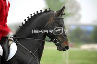 day1_IMG_9722.jpg