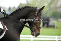 day1_IMG_9724.jpg