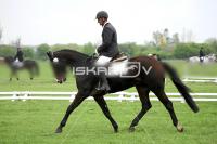 day1_IMG_9728.jpg