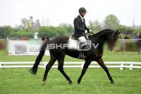 day1_IMG_9730.jpg