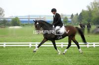 day1_IMG_9748.jpg
