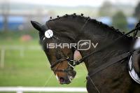 day1_IMG_9757.jpg
