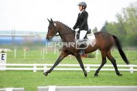 day1_IMG_9763.jpg