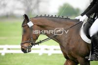 day1_IMG_9770.jpg
