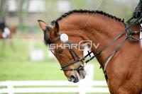 day1_IMG_9784.jpg