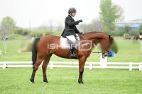 day1_IMG_9793.jpg