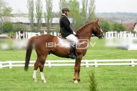 day1_IMG_9797.jpg