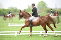 day1_IMG_9810.jpg