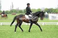 day1_IMG_9831.jpg