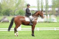 day1_IMG_9834.jpg