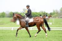 day1_IMG_9839.jpg