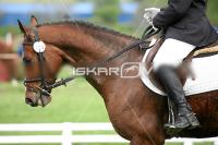 day1_IMG_9845.jpg