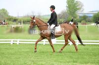 day1_IMG_9847.jpg