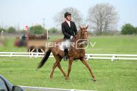 day1_IMG_9849.jpg