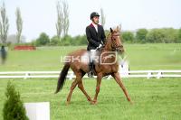 day1_IMG_9850.jpg