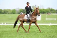 day1_IMG_9851.jpg