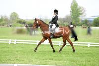 day1_IMG_9855.jpg