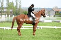 day1_IMG_9866.jpg