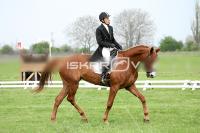 day1_IMG_9872.jpg