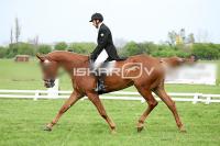 day1_IMG_9870.jpg