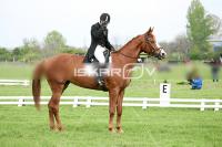 day1_IMG_9878.jpg