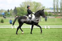 day1_IMG_9883.jpg