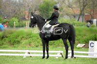 day1_IMG_9885.jpg