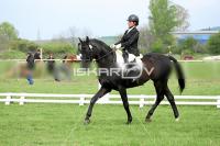 day1_IMG_9881.jpg