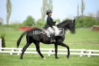 day1_IMG_9887.jpg
