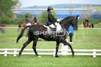 day1_IMG_9888.jpg