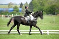 day1_IMG_9889.jpg