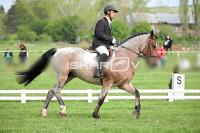 day1_IMG_9894.jpg