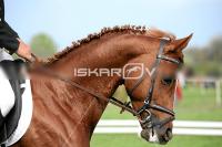 day1_IMG_9905.jpg