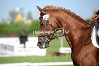 day1_IMG_9912.jpg