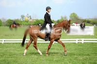 day1_IMG_9914.jpg