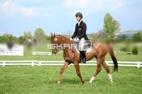 day1_IMG_9915.jpg