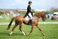day1_IMG_9919.jpg