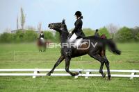 day1_IMG_9926.jpg
