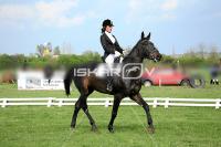 day1_IMG_9921.jpg