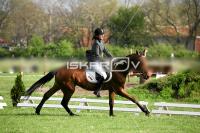 day1_IMG_9960.jpg