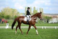 day1_IMG_9966.jpg