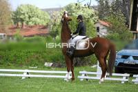 day1_IMG_9969.jpg