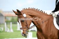 day1_IMG_9971.jpg