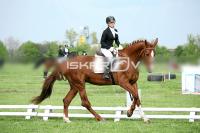 day1_IMG_9973.jpg