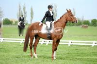 day1_IMG_9976.jpg