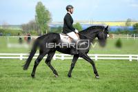 day1_IMG_9982.jpg