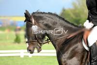 day1_IMG_9991.jpg
