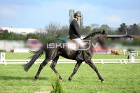 day1_IMG_9989.jpg