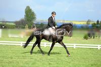 day1_IMG_9985.jpg