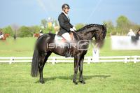 day1_IMG_9992.jpg
